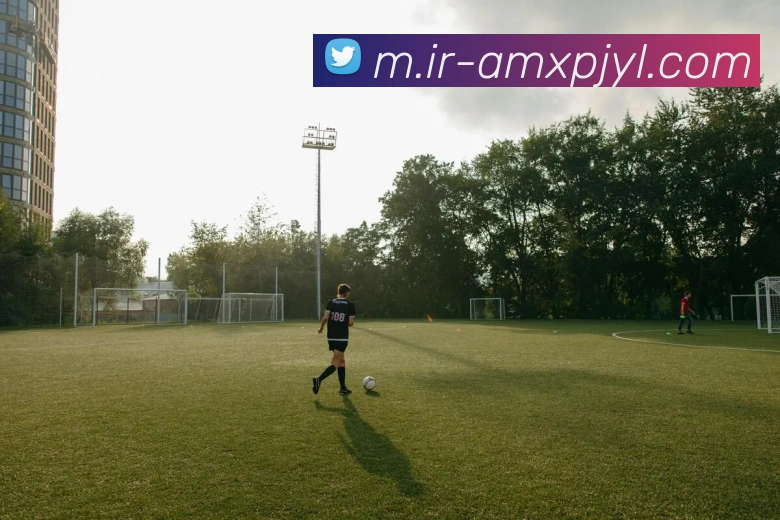 新葡京娱乐平台生态图