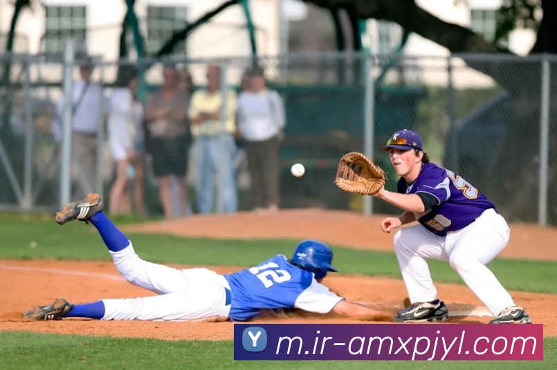 新葡京娱乐APP 封面图